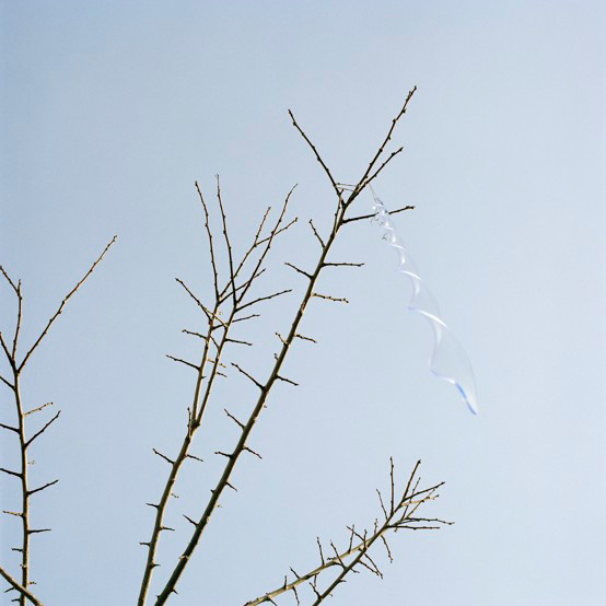 http://www.lux-fotografie.de/files/gimgs/th-13_11_47_12.jpg
