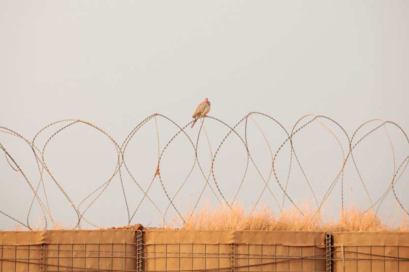 http://www.lux-fotografie.de/files/gimgs/th-48_08_21_12_2016_Mali_MG_2979.jpg